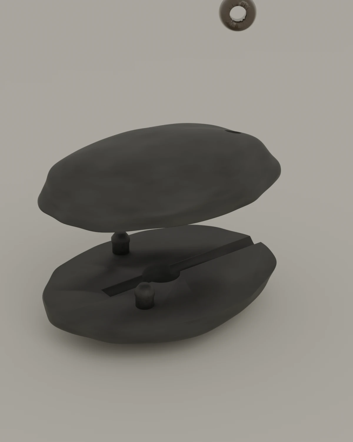The stone lifted off its cord, the cord lying in two lengths with a horn pin between them.